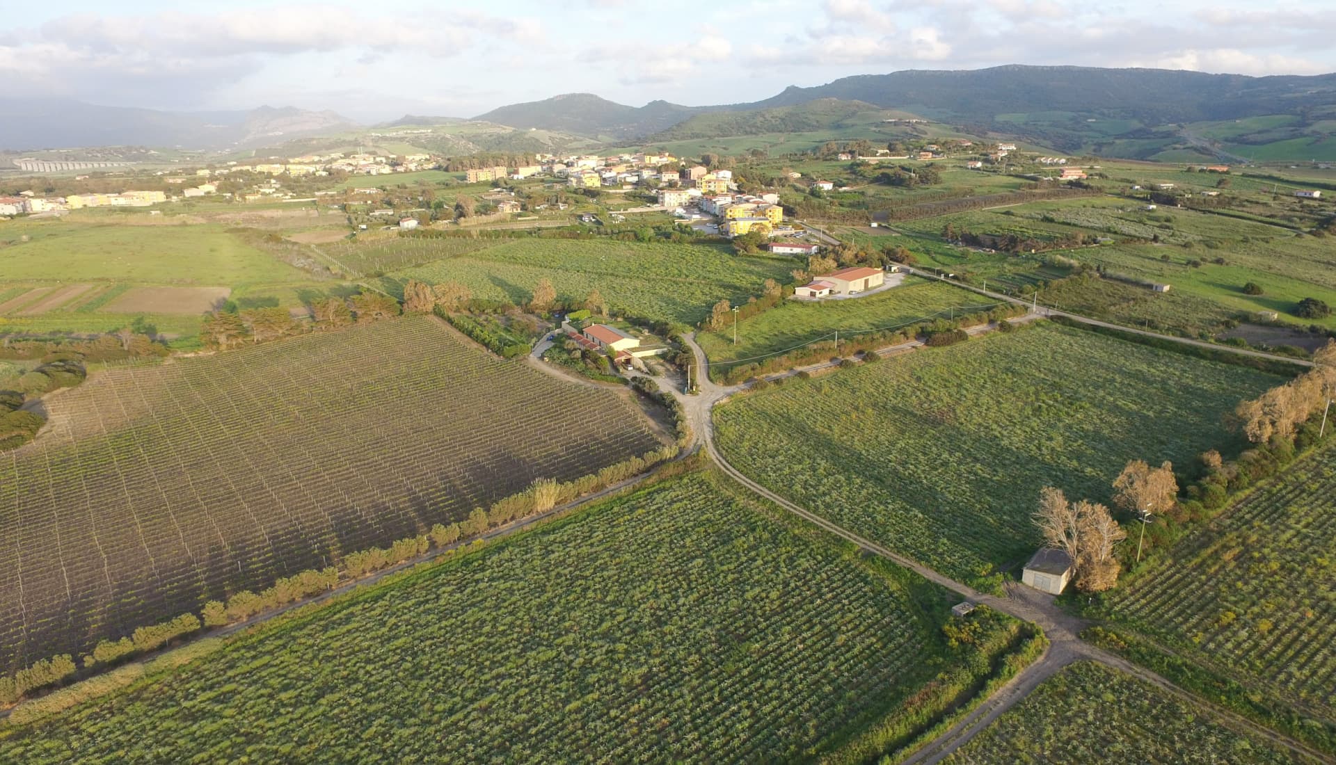 dji_0007.jpg