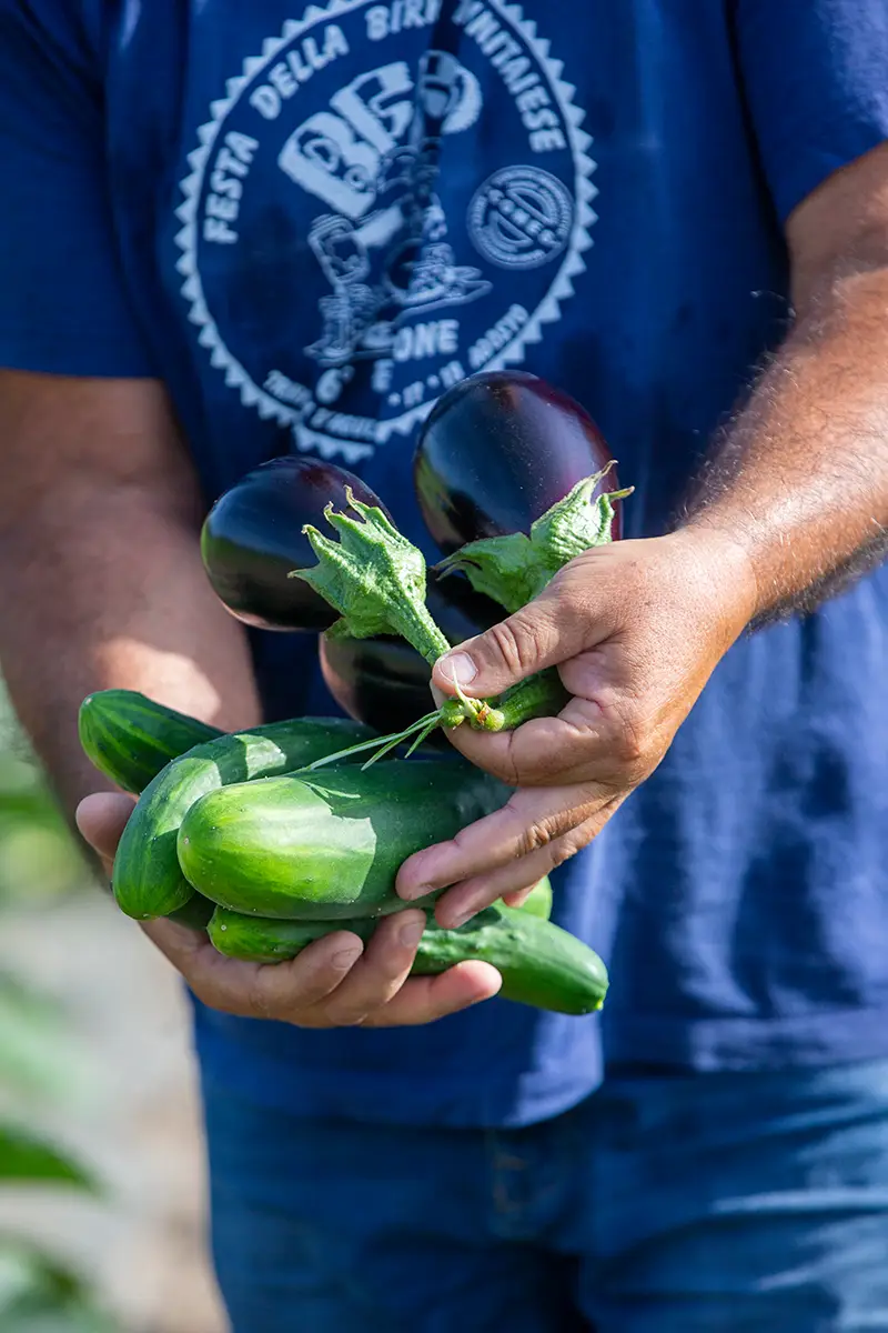 coltivazioni Costadoria