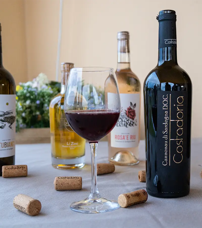 vini Costadoria